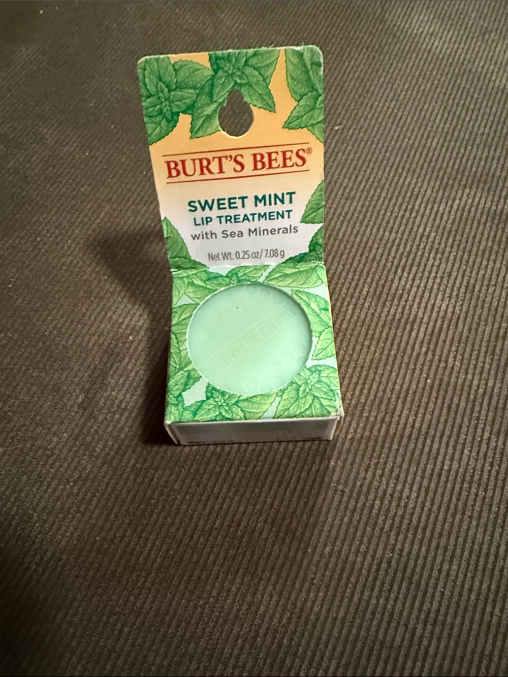 Burt's Bees Sweet Mint Lip Treatment - Light Green Balm
